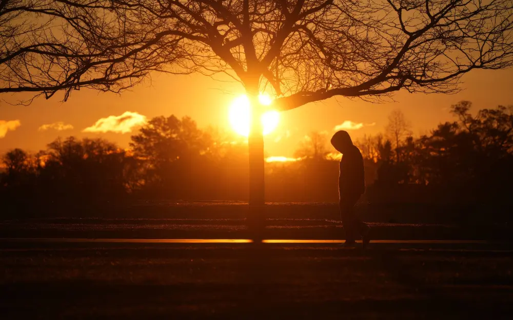 Silueta de una persona caminando despacio al atardecer entre árboles